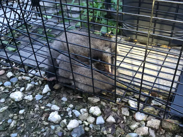 ◎株式会社IKI◎年中無休で即対応◎営業時間外・対応地域外もご相談歓迎サービスの画像