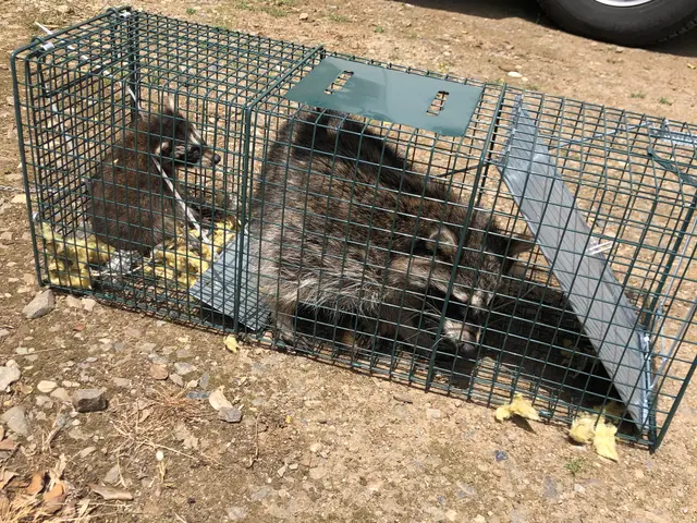 ◎株式会社IKI◎年中無休で即対応◎営業時間外・対応地域外もご相談歓迎サービスの画像