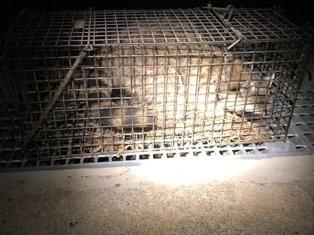 ◎株式会社IKI◎年中無休で即対応◎営業時間外・対応地域外もご相談歓迎サービスの画像