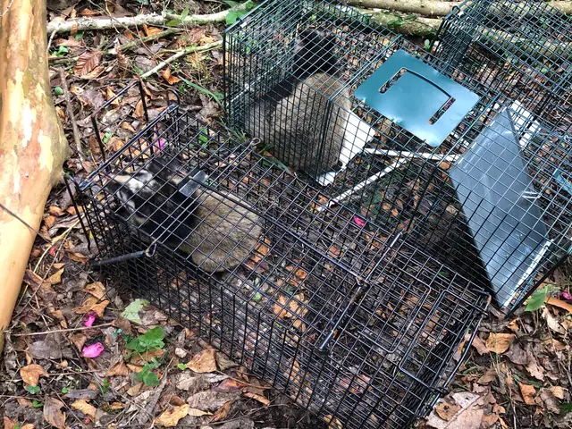 ◎株式会社IKI◎年中無休で即対応◎営業時間外・対応地域外もご相談歓迎サービスの画像