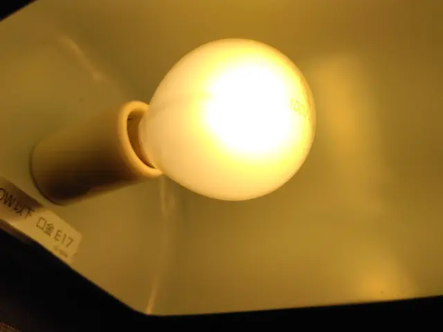 高いところの電球交換いたします。第一種電気工事士が対応いたします。サービスの画像