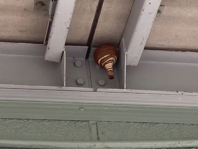 PayPay可。予約リクエスト後、最短の日付に調整可能です。場合によっては当日可サービスの画像