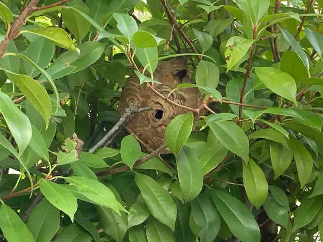 PayPay可。予約リクエスト後、最短の日付に調整可能です。場合によっては当日可サービスの画像