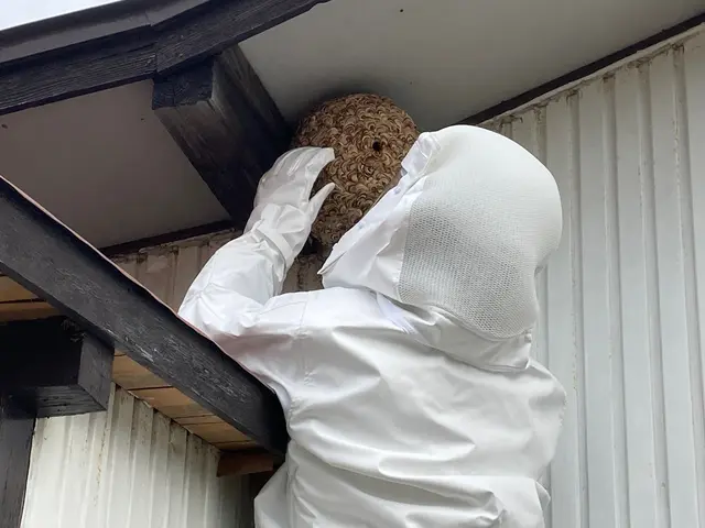 PayPay可。予約リクエスト後、最短の日付に調整可能です。場合によっては当日可サービスの画像