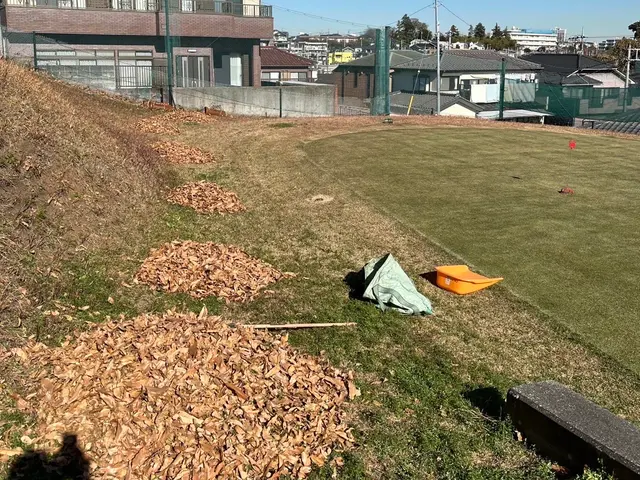 細かい所も見落とす事なく落ち葉清掃！立会い不用でも安心！サービスの画像