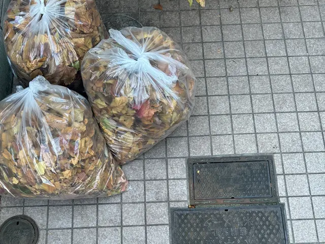 細かい所も見落とす事なく落ち葉清掃！立会い不用でも安心！サービスの画像