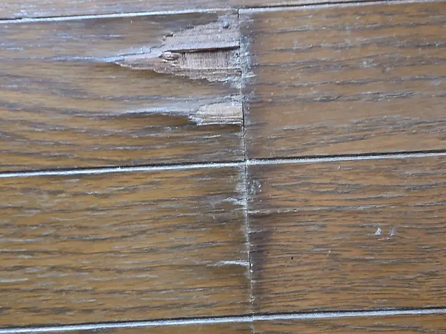 【親子で伺います】均一品質の技術と迅速対応でお客様満足度向上を実現サービスの画像