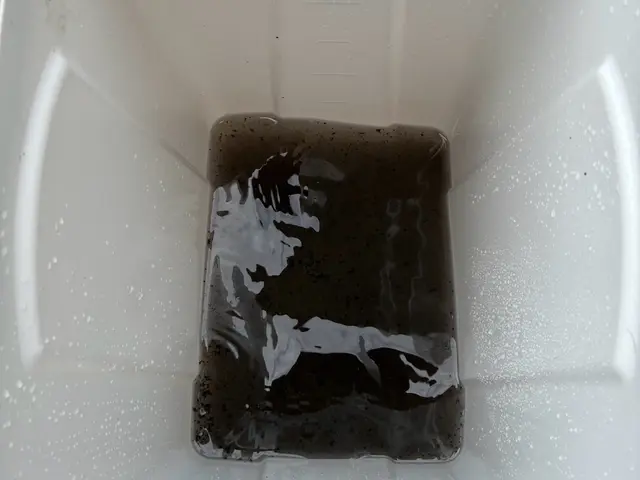 【複数台割引】◎完全分解対応店！防カビコート無料！丁寧に作業します！サービスの画像