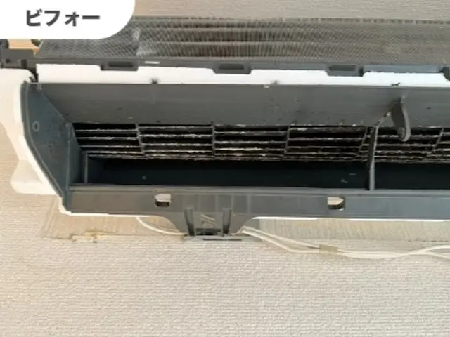 ウイルス・雑菌除去コート付き！「徹底的に分解」「隅々まで洗浄」いたします！サービスの画像