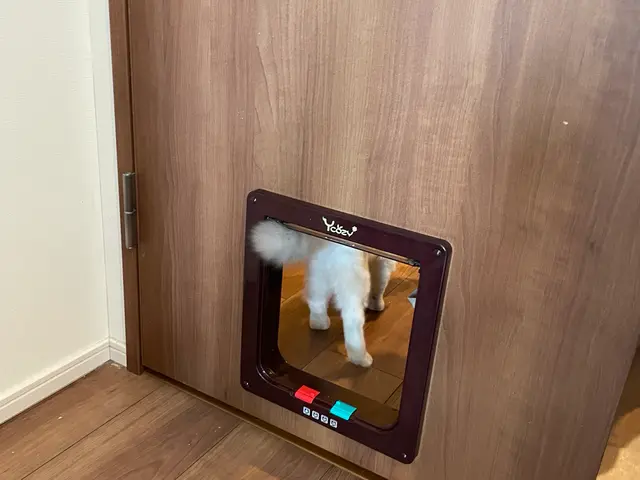 ★お伺い日お問い合わせ下さい★受付から作業まで自社対応★現地QR・カード決済サービスの画像