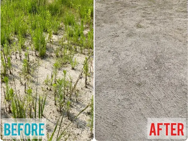 福岡の皆様に寄り添う◆草むしりはプロにお任せ！丁寧作業で快適な暮らしをサポート！サービスの画像