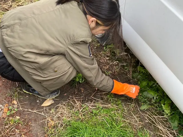 福岡の皆様に寄り添う◆草むしりはプロにお任せ！丁寧作業で快適な暮らしをサポート！サービスの画像