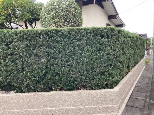 独立開業18周年キャンペーン中！お庭の事なら株式会社庭づくりにお任せください。サービスの画像