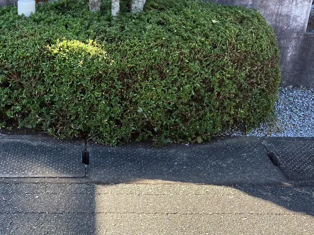 独立開業18周年キャンペーン中！お庭の事なら株式会社庭づくりにお任せください。サービスの画像