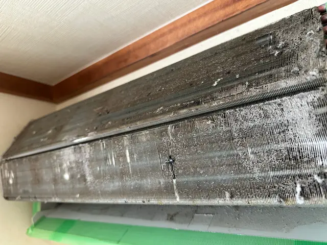 カビ・しつこい汚れを分解洗浄でクリーンな空気で快適生活を！！サービスの画像