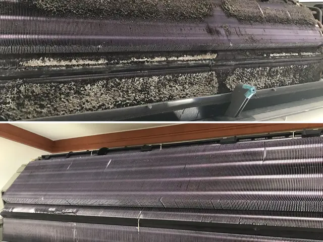 【静岡エリア】3児のパパが育児目線や子供目線からしっかりとお掃除致します。サービスの画像