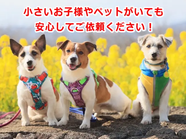 ◉女性も安心❀夫婦で訪問◉強力エアーコンプレッサー高圧洗浄！複数台が大変お得♬サービスの画像