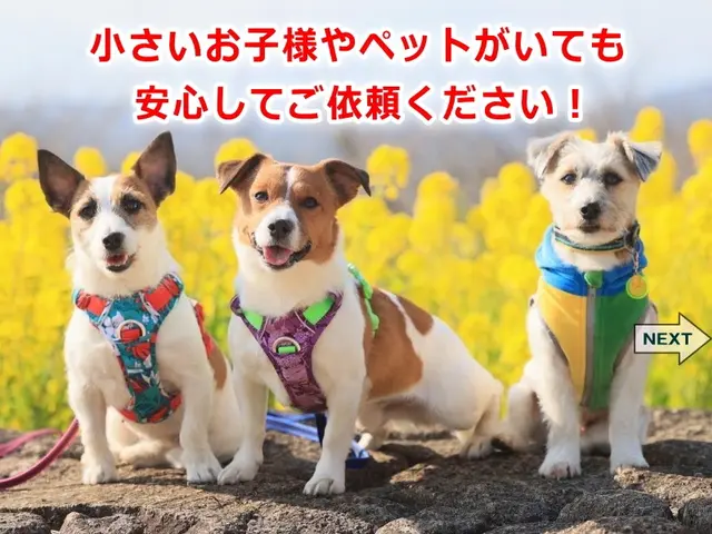 ＼アワード受賞店／女性も安心❀夫婦で訪問★強力エアーコンプレッサーでカビ汚れ撃退サービスの画像