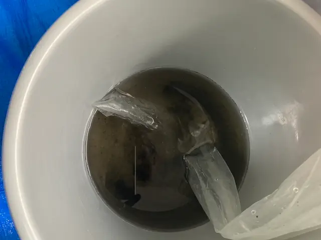 12年の実績で10,000台突破！大手経験豊富な職人によるプロの技術と安心保証サービスの画像