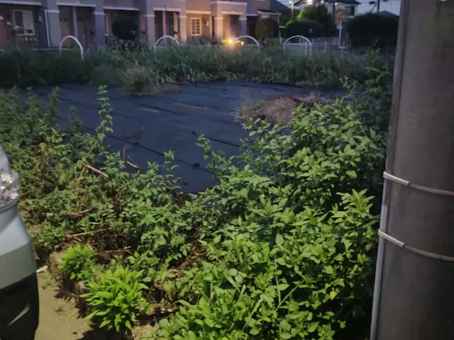 安くお庭を綺麗にしたい方・今後雑草をできるだけ無くしていきたい方におすすめです！サービスの画像