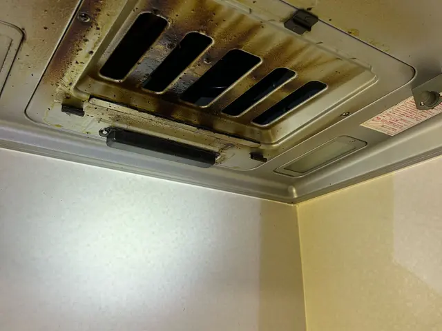 1月.2月のみの値下げ価格となります。サービスの画像