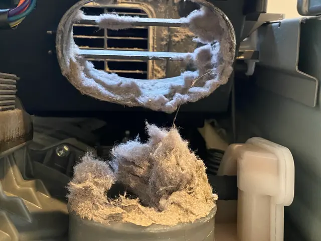 作業実績年間200件以上★消臭・抗菌に特化したエコ洗剤★お子様やペットにも安心サービスの画像