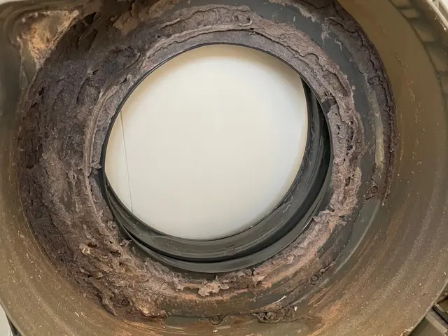 作業実績年間200件以上★消臭・抗菌に特化したエコ洗剤★お子様やペットにも安心サービスの画像