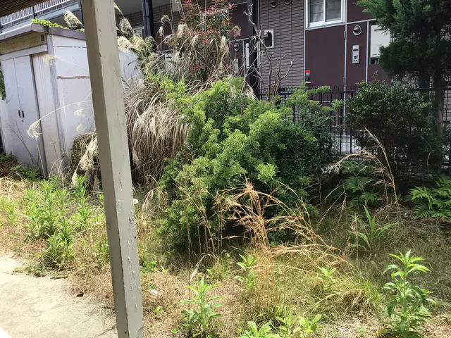 土日祝も作業ok。paypay決済もok。空き日程無くてもご相談下さい。サービスの画像