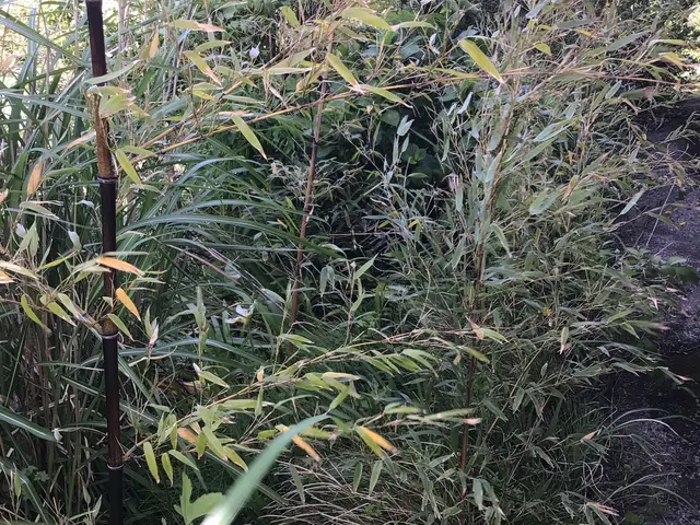 土日祝も作業ok。paypay決済もok。空き日程無くてもご相談下さい。サービスの画像