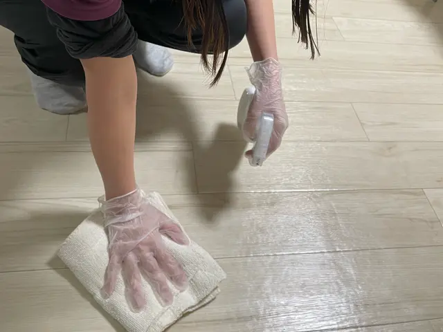 家事代行/介護有資格者/調理師免許保有/女性スタッフ/訪問介護経験者/訪問介護サービスの画像