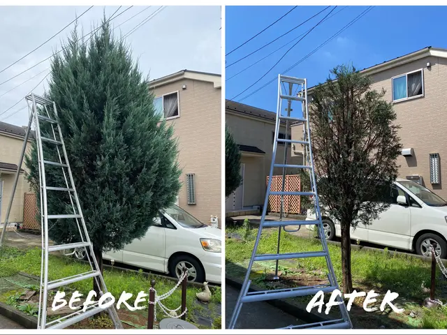 【金賞受賞 4 回】本当の自然風剪定で木漏れ日が差し、枝がそよぐ庭にしませんか？サービスの画像