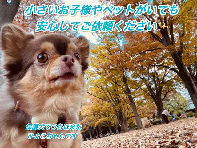 11月23.25.26日空きあり◆駐車場代なし◆前日・当日予約お問い合わせ下さいサービスの画像