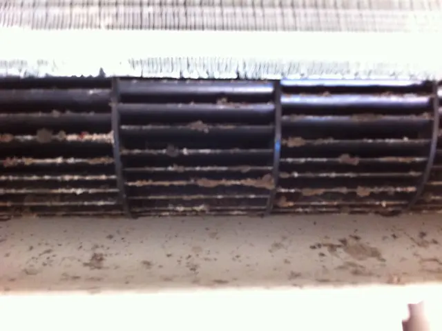 ☆今話題Pay Pay加盟店！クレカの支払いも対応しております。サービスの画像