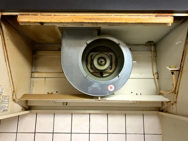 ＜土日祝対応可能＞もしもの時の保険も加入済みです。レンジフードクリーニング！サービスの画像
