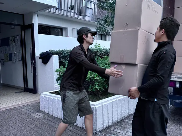 2月激安！損害保険◎段ボール配達回収◎お問い合わせお待ちしております！サービスの画像