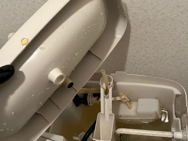 トイレクリーニングサービスの画像