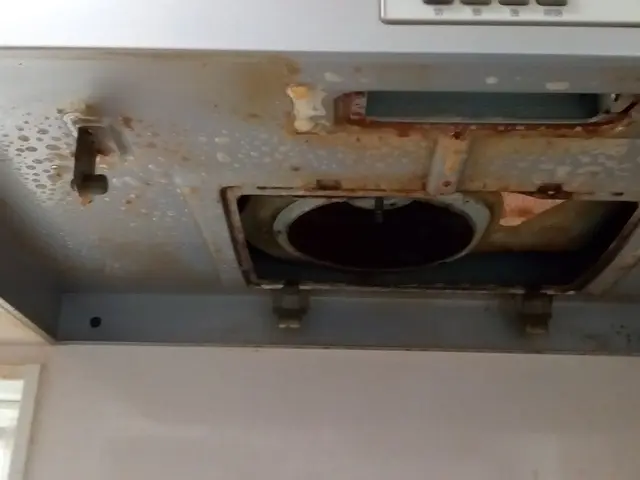 写真の私が作業します。今ならシンク全体も綺麗にします。サービスの画像