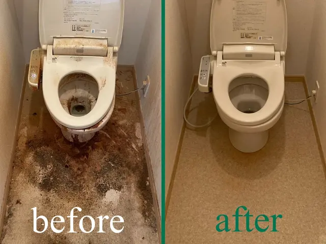 【直前予約OKです】"質"にこだわったクリーニングをご提供します！サービスの画像