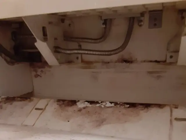 面倒なお風呂掃除はお任せ下さい！お風呂も心もスッキリ！清潔なスタッフがお伺い！サービスの画像