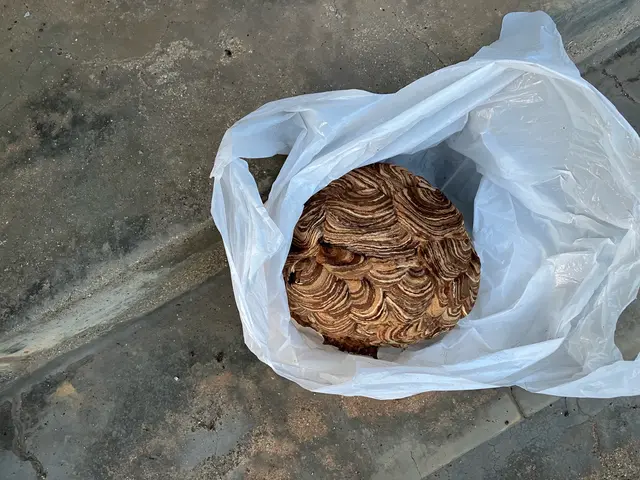 【スズメバチ駆除専門】わっ！ハチだ！口コミ100件以上◆明朗会計◆即日対応OK！サービスの画像