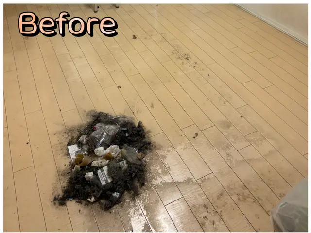 在室・入居中のハウスクリーニング！！綺麗に丁寧に仕上げます！女性スタッフ同行可能サービスの画像