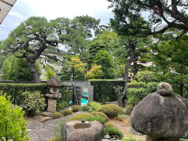 木々とその場所が美しく、健やかになるサービスの画像