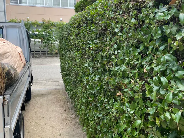 木々とその場所が美しく、健やかになるサービスの画像