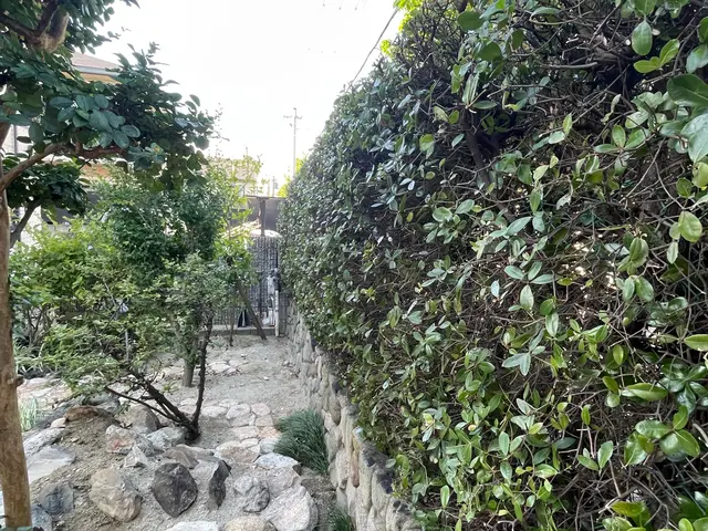 木々とその場所が美しく、健やかになるサービスの画像