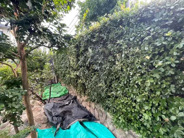 木々とその場所が美しく、健やかになるサービスの画像