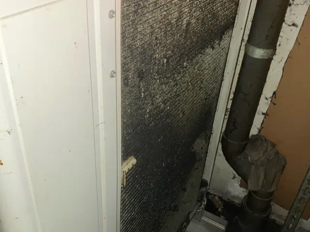 ◎神戸のお掃除屋さん◎ホークアイサービス〜お陰様で喜びの声多数頂いております！〜サービスの画像