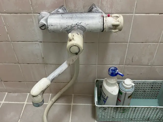 工事のみも大歓迎【青空水道(屋号)】損害保険加入済！漏水調査◎PayPay対応サービスの画像