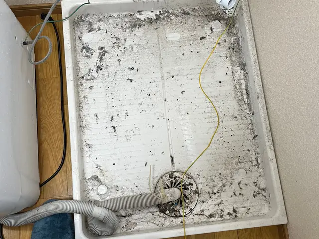 水回りクリーニング/5点セット（お風呂＋換気扇+キッチン+洗面台＋トイレ）サービスの画像