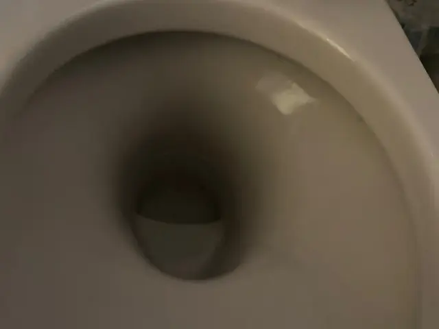 水回りクリーニング/5点セット（お風呂＋換気扇+キッチン+洗面台＋トイレ）サービスの画像