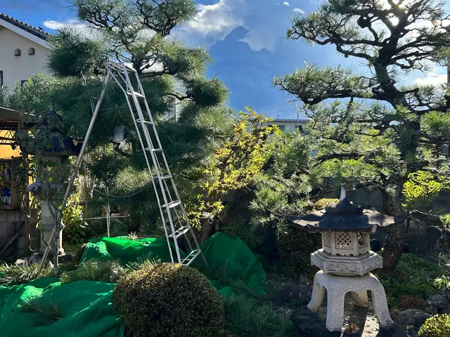 【1月出店記念】経験18年以上！年間120件の実績で美しい庭づくりをサポートサービスの画像